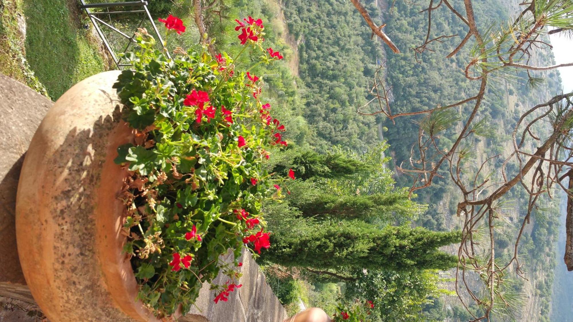 La Codarda Country House Pescosolido Eksteriør bilde